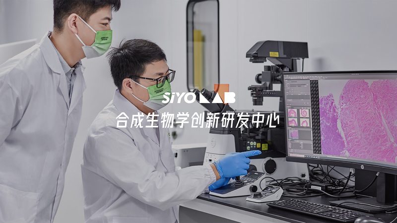 国产无血清细胞培养基：揭秘其质量背后的秘密**