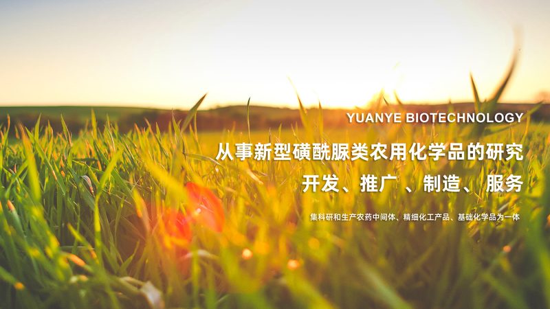基因检测：破解遗传病之谜，上海机构哪家强？**