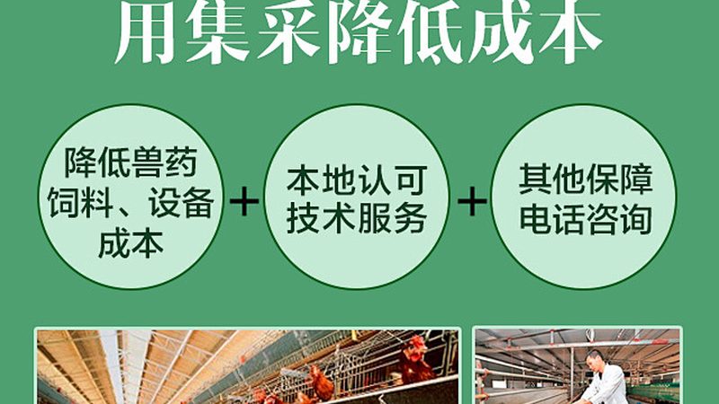 科研抗体定制的奥秘：如何精准选择合作伙伴**