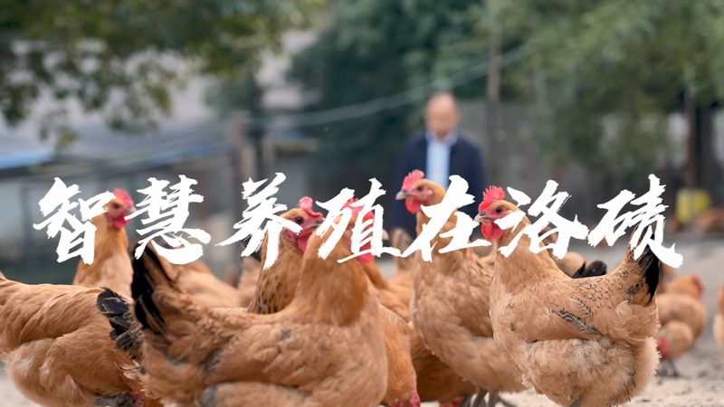 揭秘生物科技行业：十大品牌背后的秘密**