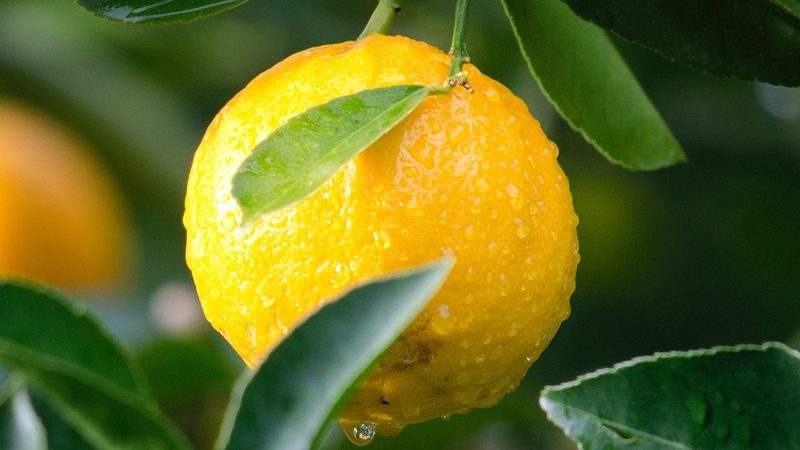 生物医药外包成本核算：如何科学评估与优化