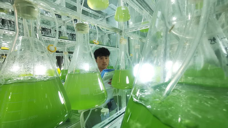凝血因子：血液制品还是生物制品？揭秘其身份之谜**